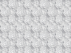 Róże, Biała, Tekstura