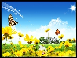 Biedronka, Kwiatki, Żółte, Wiosna, Motylki
