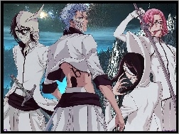 Bleach, Espada