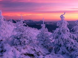 Blue Ridge Mountain, Śnieg, Świerki, Północna Karolina, Stany Zjednoczone, Góry, Zima, Pasmo Błękitne