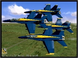 Hornet, Boeing, Blue Angels, F/A 18