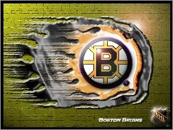 Boston Bruins, Drużyny, Logo, NHL