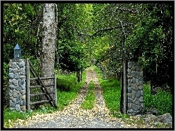 Brama, Ścieżka, Drzewa, Ogród