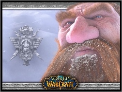 broda, fantasy, World Of Warcraft, krasnolud