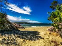 Drzewa, Kolumbia Brytyjska, Skały, Plaża Tonquin Beach, Tonquin Park, Kanada, Morze