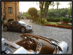 Bugatti Veyron, Ogród, Dom, Samochód