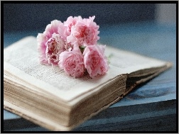 Książka, Bukiet, Kwiatów