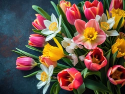 Tulipany, Bukiet, Kwiaty, Narcyzy, Kolorowe