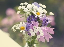 Kwiaty, Bukiet, Polne