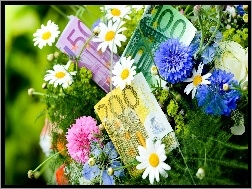 Pieniądze, Bukiet, Kwiatów