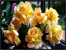 Róż, Bukiet, Żółtych