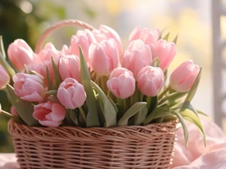 Koszyk, Kwiaty, Tulipany, Bukiet, Różowe, Wiklinowy