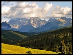 Góry, Bukowina, Tatrzańska