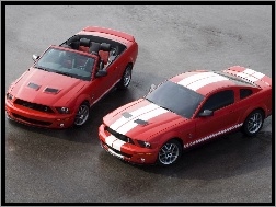Cabrio, Mustang Shelby, Ford Mustang
