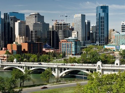 Calgary, Most, Roślinność, Rzeka, Panorama, Bow