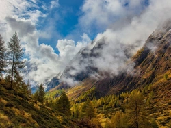 Włochy, Rośliny, Drzewa, Jesień, Góry, Chmury, Val Cane