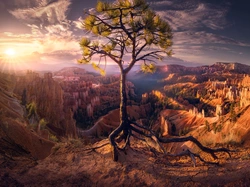 Promienie, Chmury, Utah, Drzewo, Sosna, Park Narodowy Bryce Canyon, Stany Zjednoczone, Wschód słońca, Skały