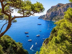 Jachty, Wyspa Capri, Skały, Morze Tyrreńskie, Zatoka Marina Piccola, Włochy, Drzewo