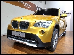 Car, Salon, BMW X1, Concept