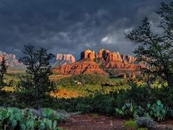 Cathedral Rock, Sedona, Drzewa, Stany Zjednoczone, Kaktusy, Chmury, Arizona, Skały