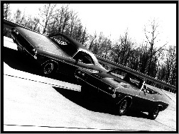 Dodge Challenger, Wyścig