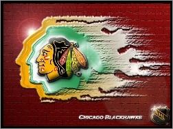 Chicago Blackhawks, Drużyny, Logo, NHL
