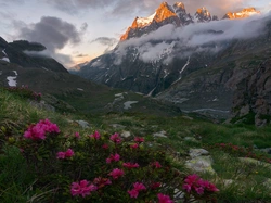 Góry, Kwiaty, Różanecznik, Chmury