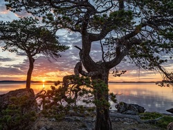 Finlandia, Lake Inari, Laponia, Zachód słońca, Drzewa, Jezioro, Chmury