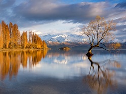 Drzewo, Chmury, Nowa Zelandia, Góry, Jezioro Wanaka, Jesień