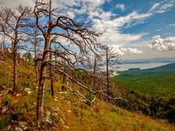 Jezioro Turgoyak, Góra, Zbocze, Obwód czelabiński, Rosja, Drzewa, Wzgórze, Chmury