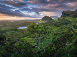 Chmury, Jeziora, Wyspa Skye, Góry, Szkocja, Wzgórze Quiraing, Wzgórza, Drzewo