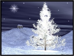 choinka, pierwsza gwiazdka, Boże Narodzenie, niedźwiedź