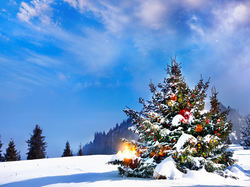 Święta, Śnieg, Ozdoby, Choinka, Zima