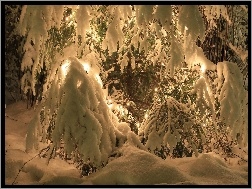 Światełka, Choinka, Śnieg