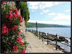 Chorwacja, Mur, Droga, Jezioro, Kwiaty