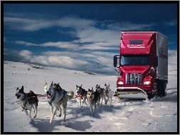 Ciężarówka, Zaprzęg, Psy, Śnieg