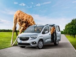 Śmieszne, 2018, Opel Combo, Żyrafa