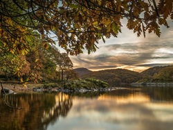 Jezioro Coniston Lake, Drzewa, Hrabstwo Kumbria, Anglia, Wzgórza