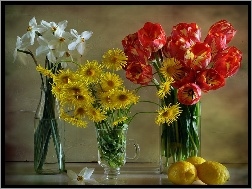 Cytryny, Narcyzy, Tulipanów, Bukiet, Margerytek
