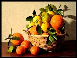 Koszyk, Cytryny, Pomarańcze