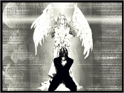 czarne, anioł, Angel Sanctuary, biało