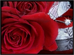 Pierścionek, Czerwona, Róża