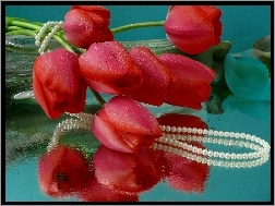 Perły, Czerwone, Tulipany