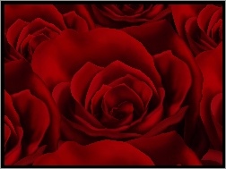 Tekstura, Czerwone, Róże