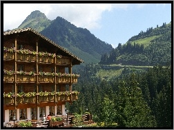 Damuls, Góry, Drzewa, Madlener, Hotel, Austria
