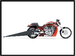 Harley Davidson Screamin Eagle V-Rod, Muscle
