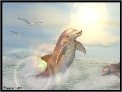 3D, Delfiny, Morze