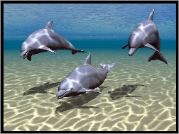 Delfiny, 3D