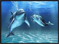 Delfiny, Morskie, Głębiny, Dwa
