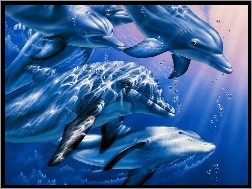 Delfiny, Rysunek